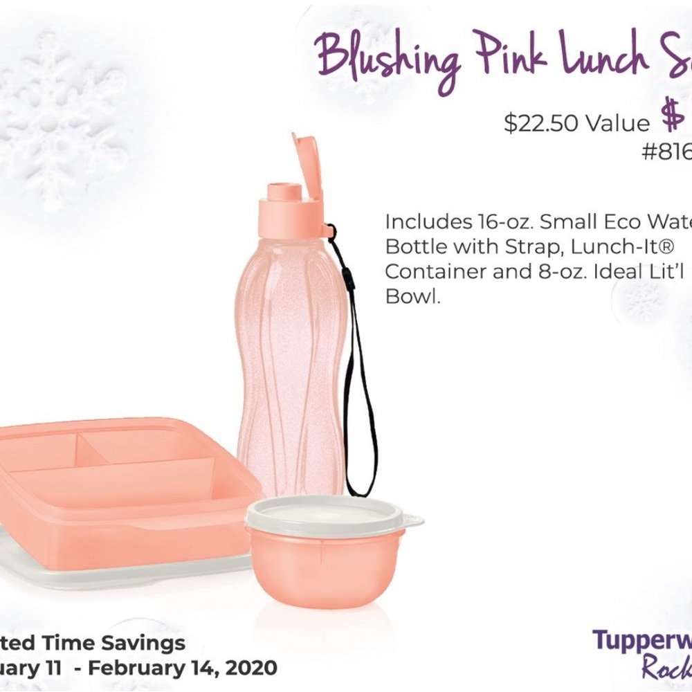 Blushing Pink Lunch Set